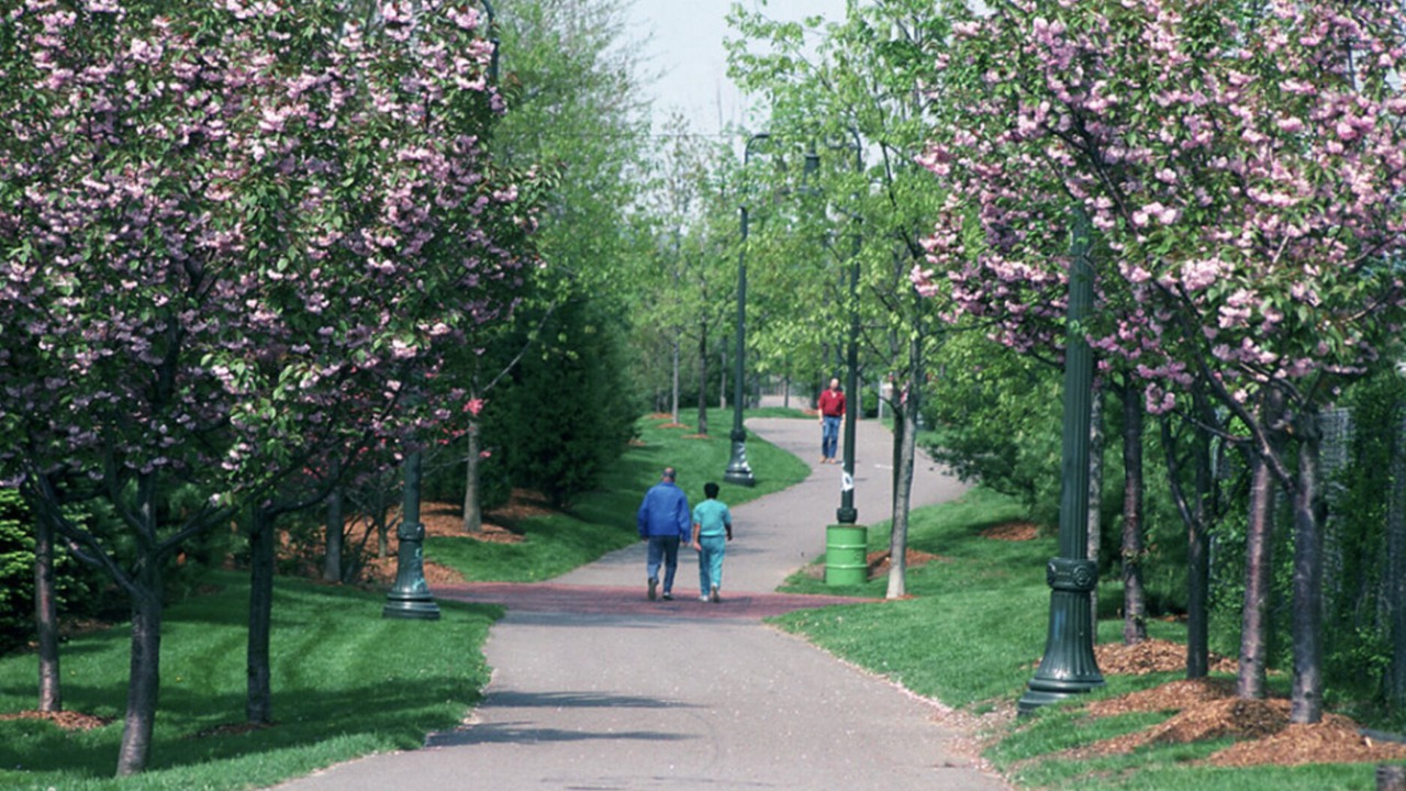 Photo of Outdoor in North Cambridge