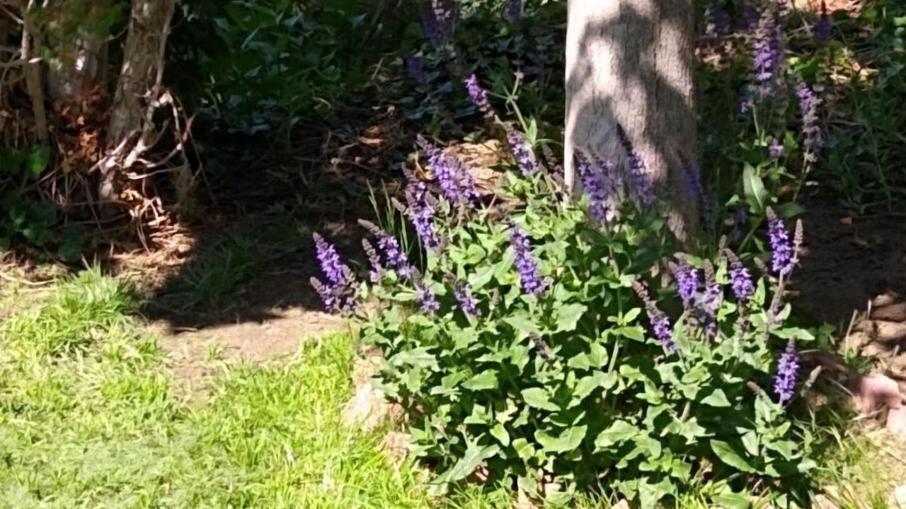 Photo of Outdoor in Thornton