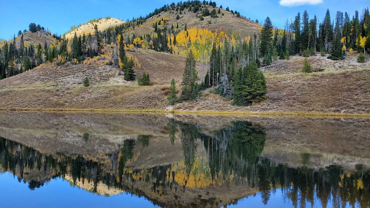 Photo of Outdoor in Clark