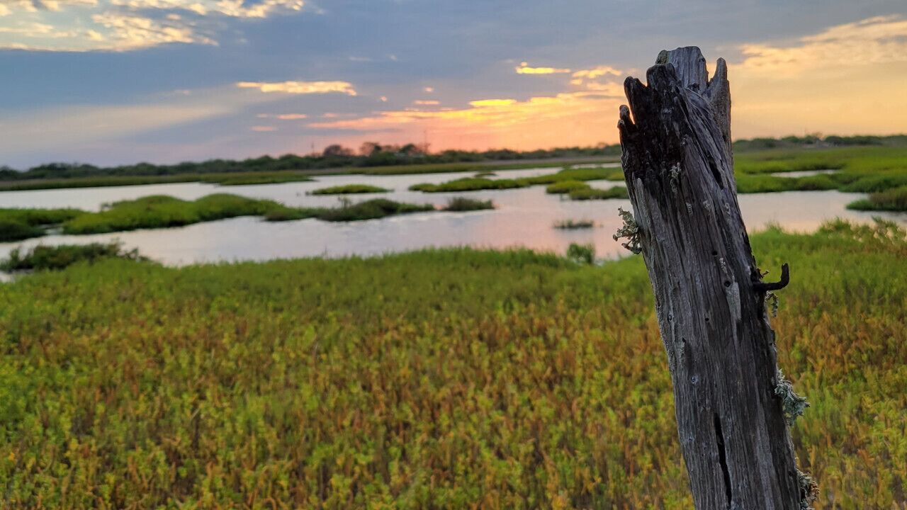 Photo of Outdoor in Port Lavaca