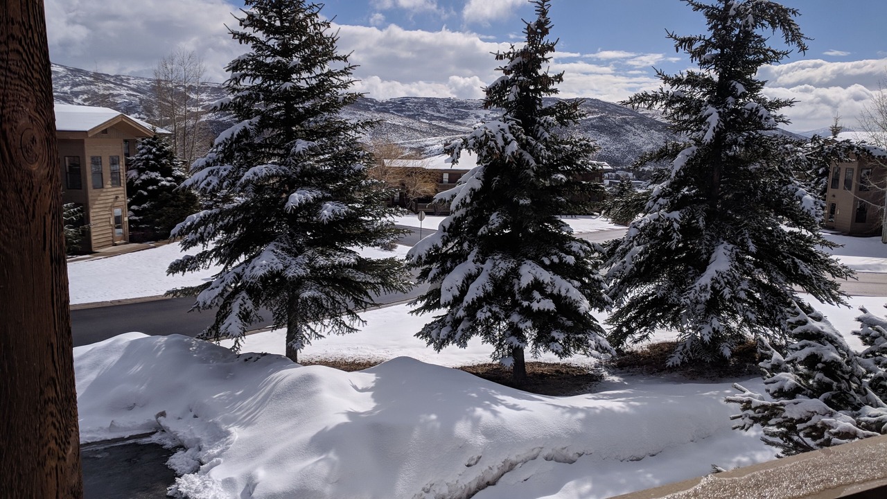 Photo of Outdoor in Pinebrook