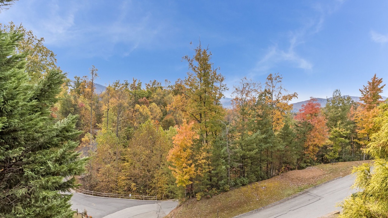 Photo of Others in Black Bear Falls