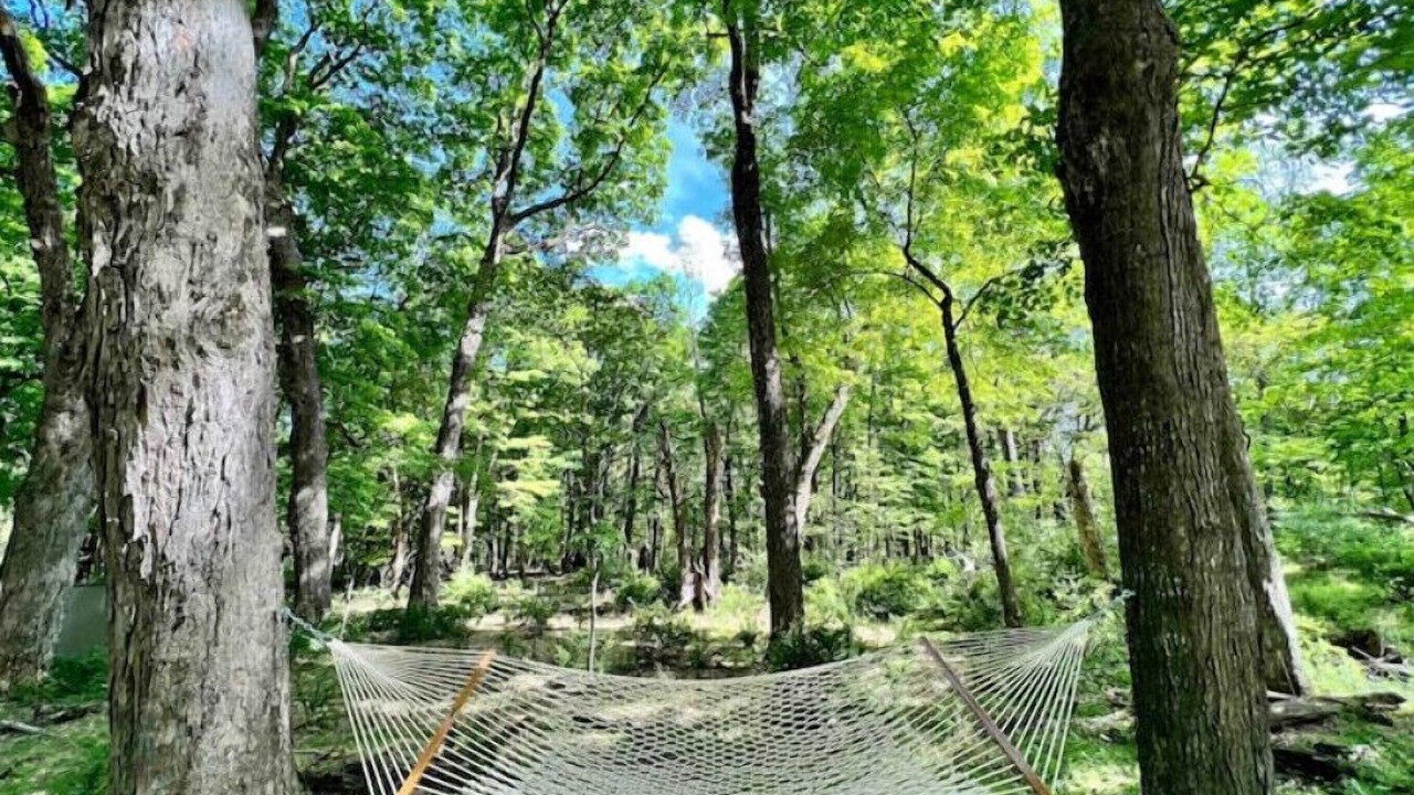 Photo of Outdoor in Wardensville