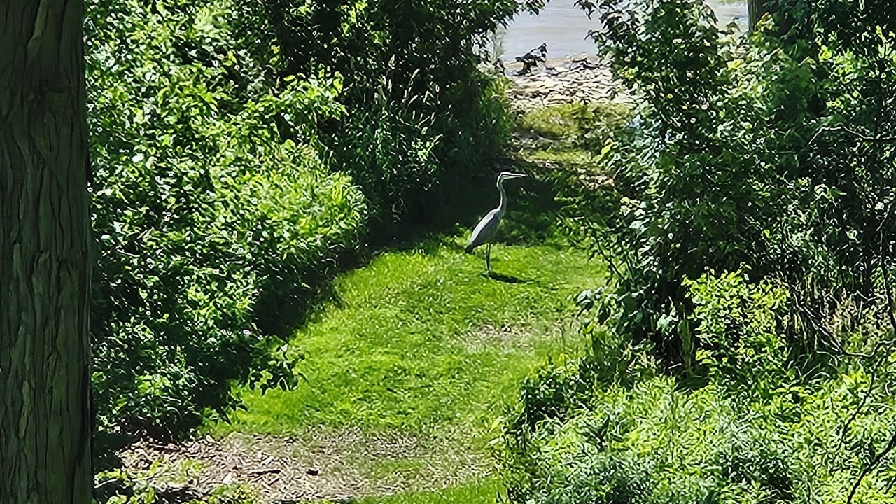 Photo of Others in Stony Ridge