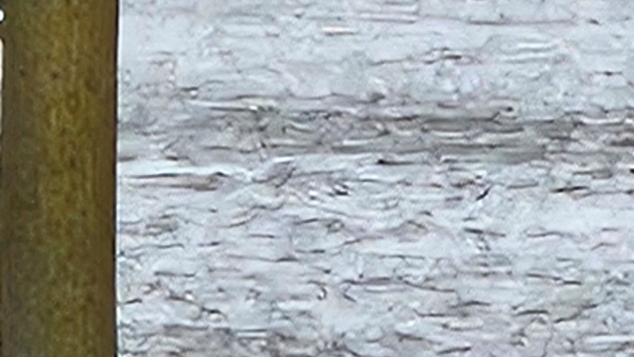 Photo of Others in Stony Ridge