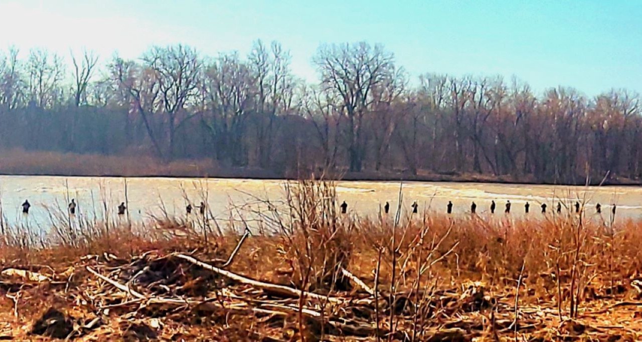 Photo of Others in Stony Ridge