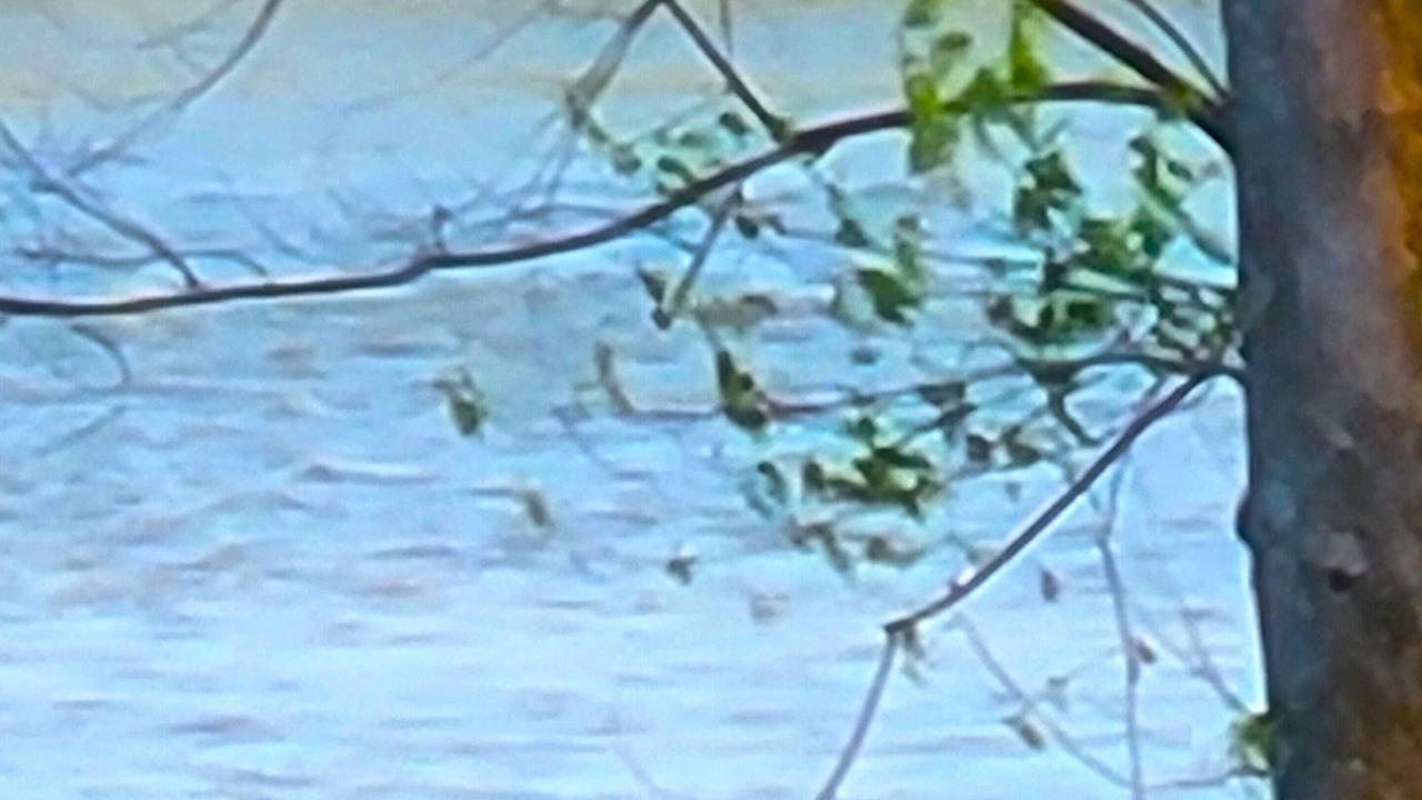 Photo of Others in Stony Ridge