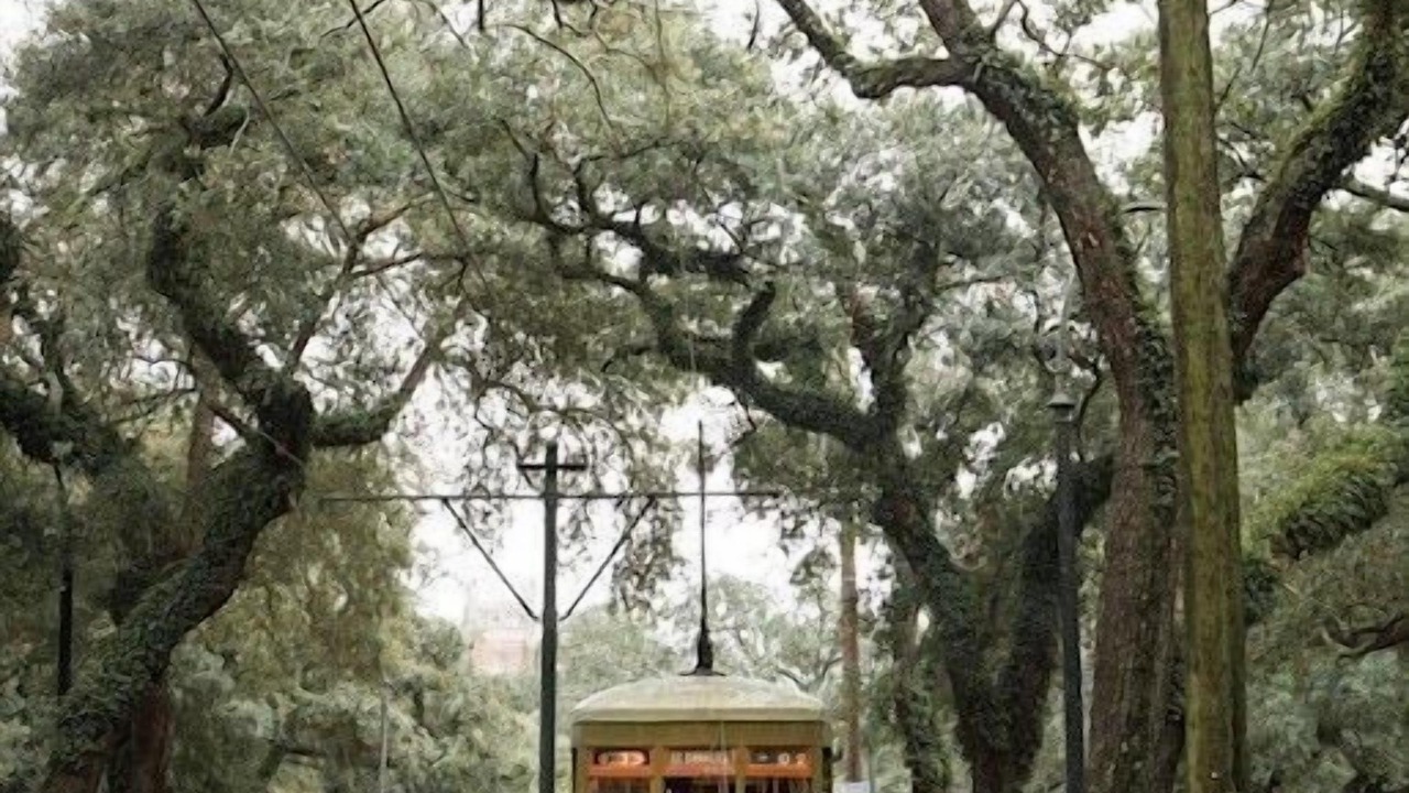 Photo of Others in Bayou St. John