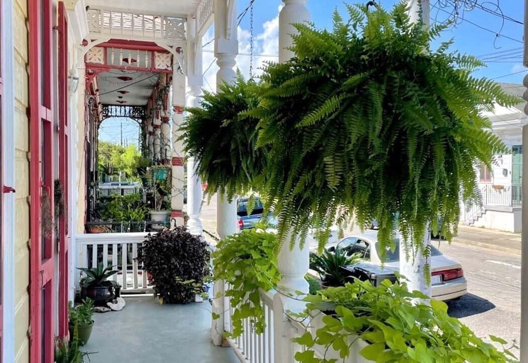 Photo of Outdoor in Bayou St. John