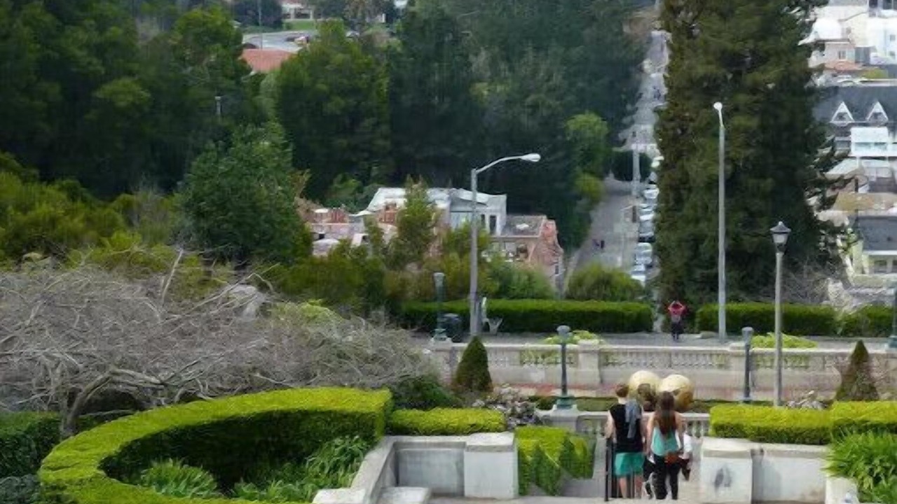 Photo of Outdoor in Presidio Heights
