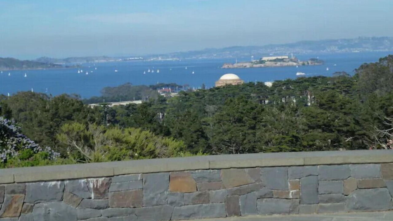 Photo of Others in Presidio Heights