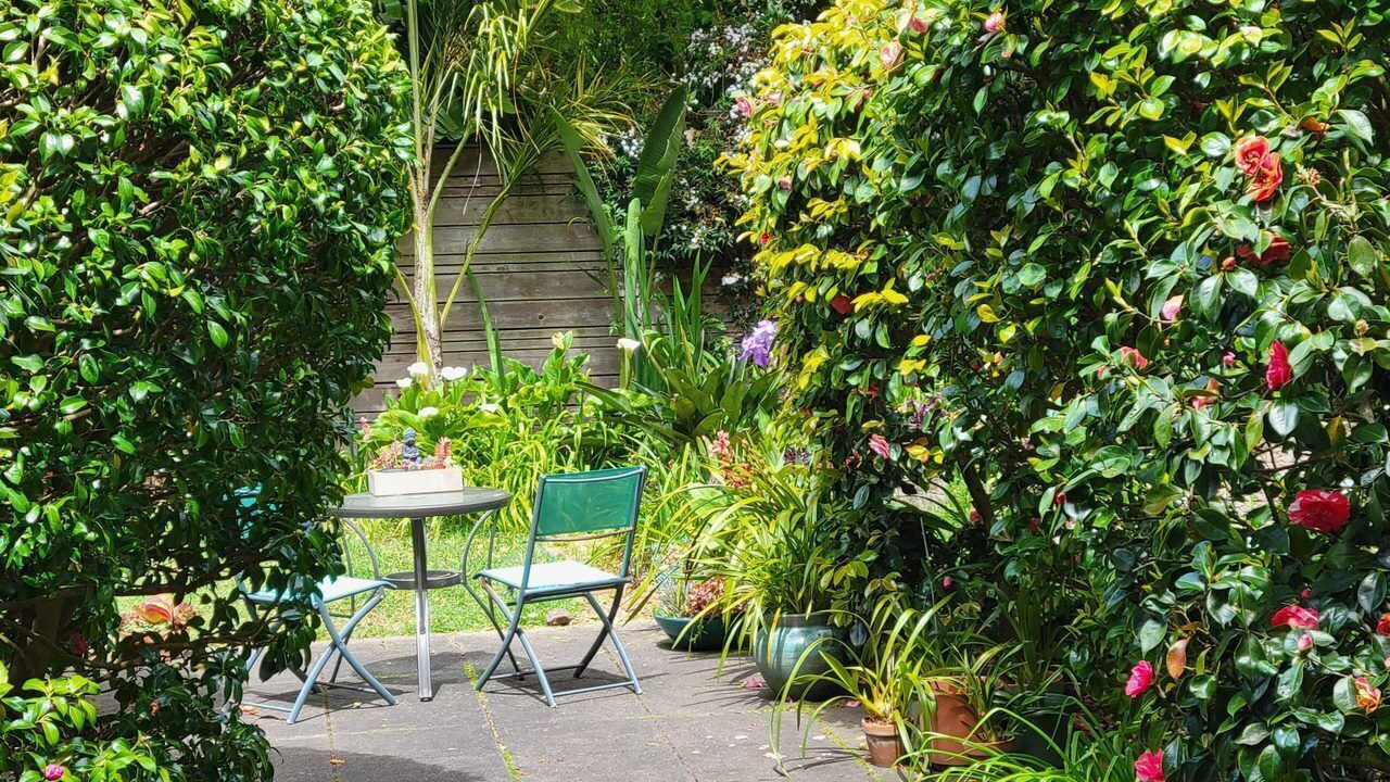 Photo of Outdoor in Presidio Heights