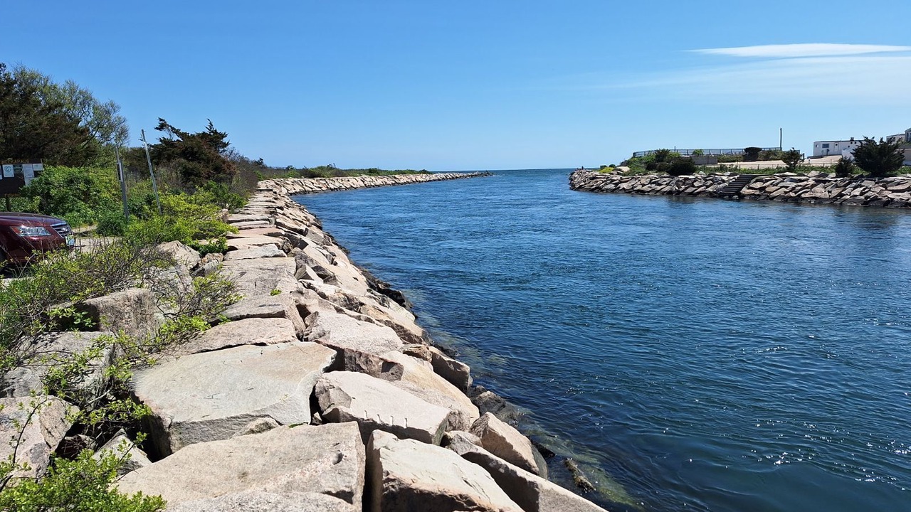 Photo of Others in Westerly