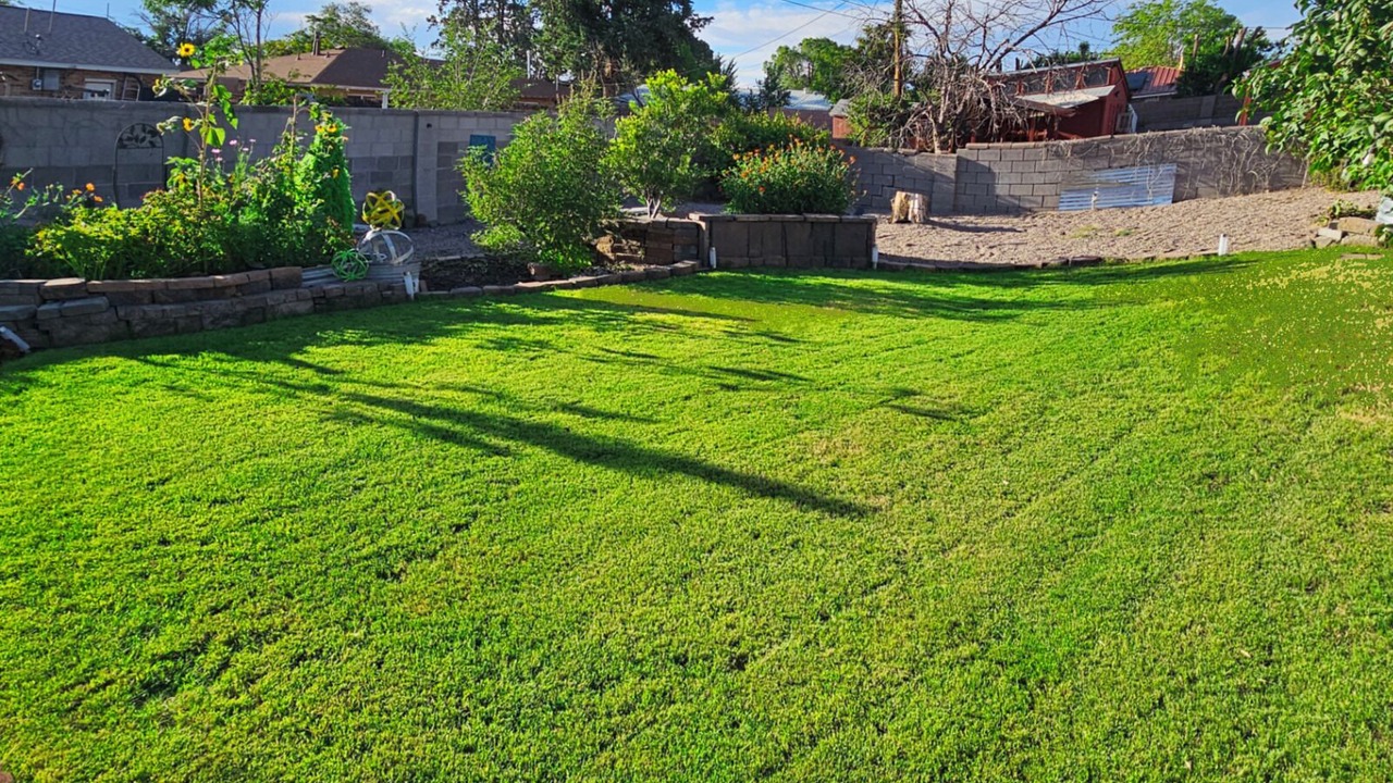 Photo of Outdoor in Albuquerque