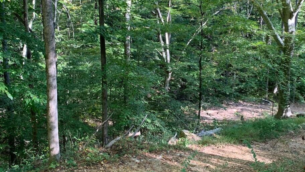 Photo of Others in Dunlap