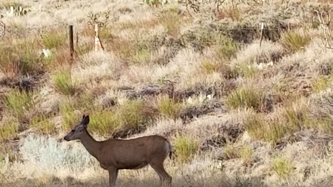 Photo of Outdoor in Foothills South