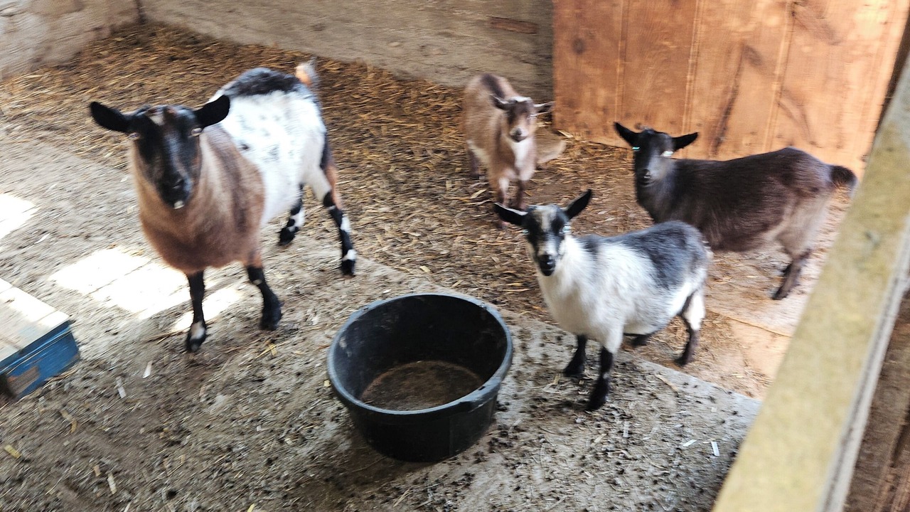 Photo of Others in Grantville