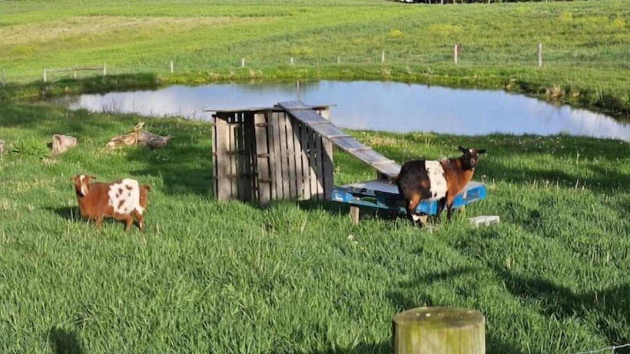 Photo of Others in Grantville
