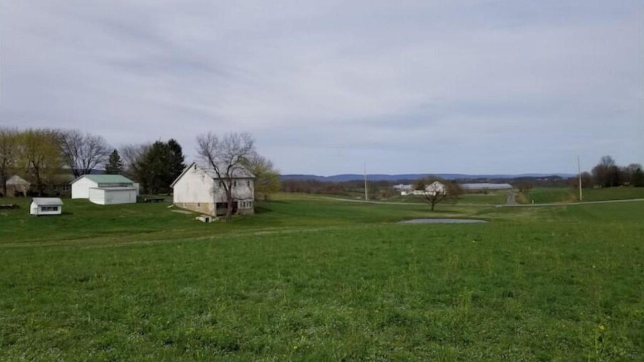 Photo of Others in Grantville