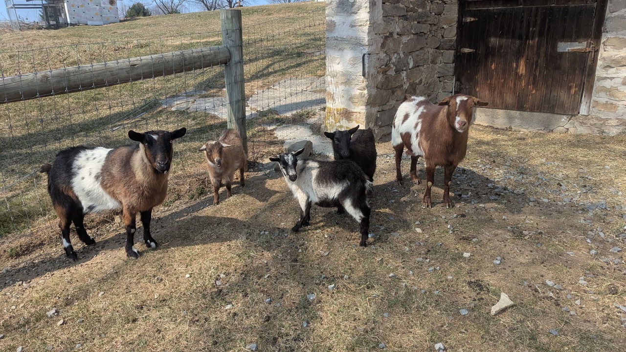 Photo of Others in Grantville