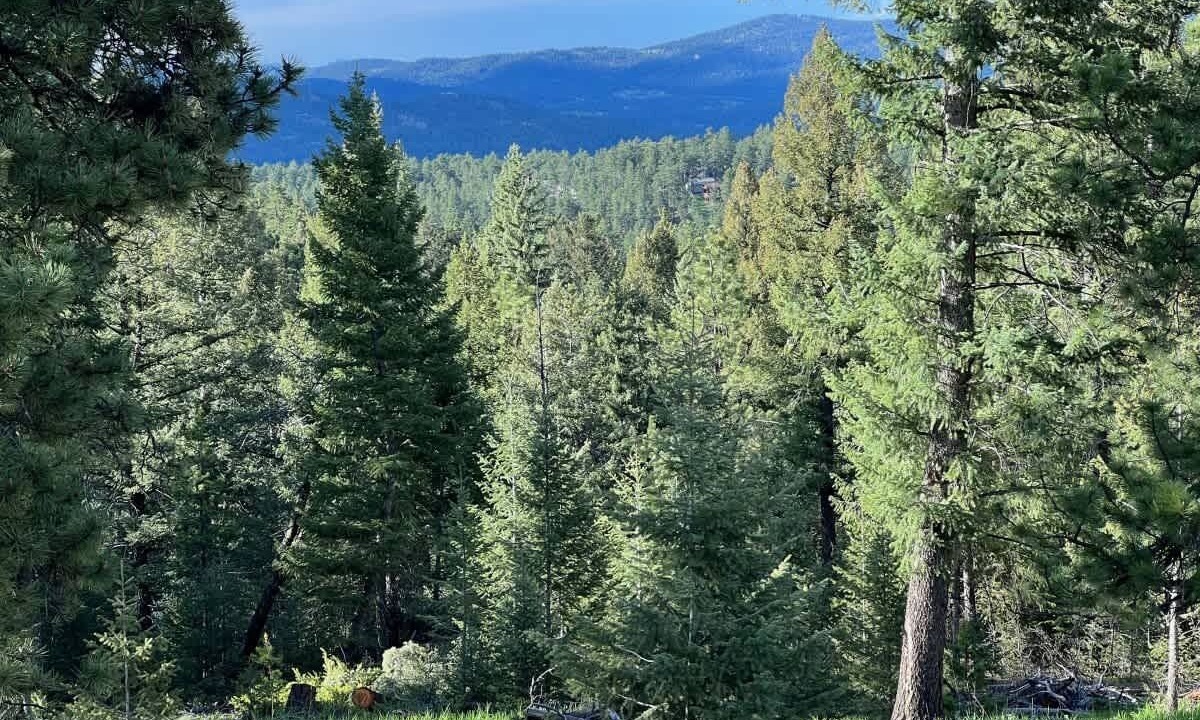 Photo of Others in Evergreen Meadows