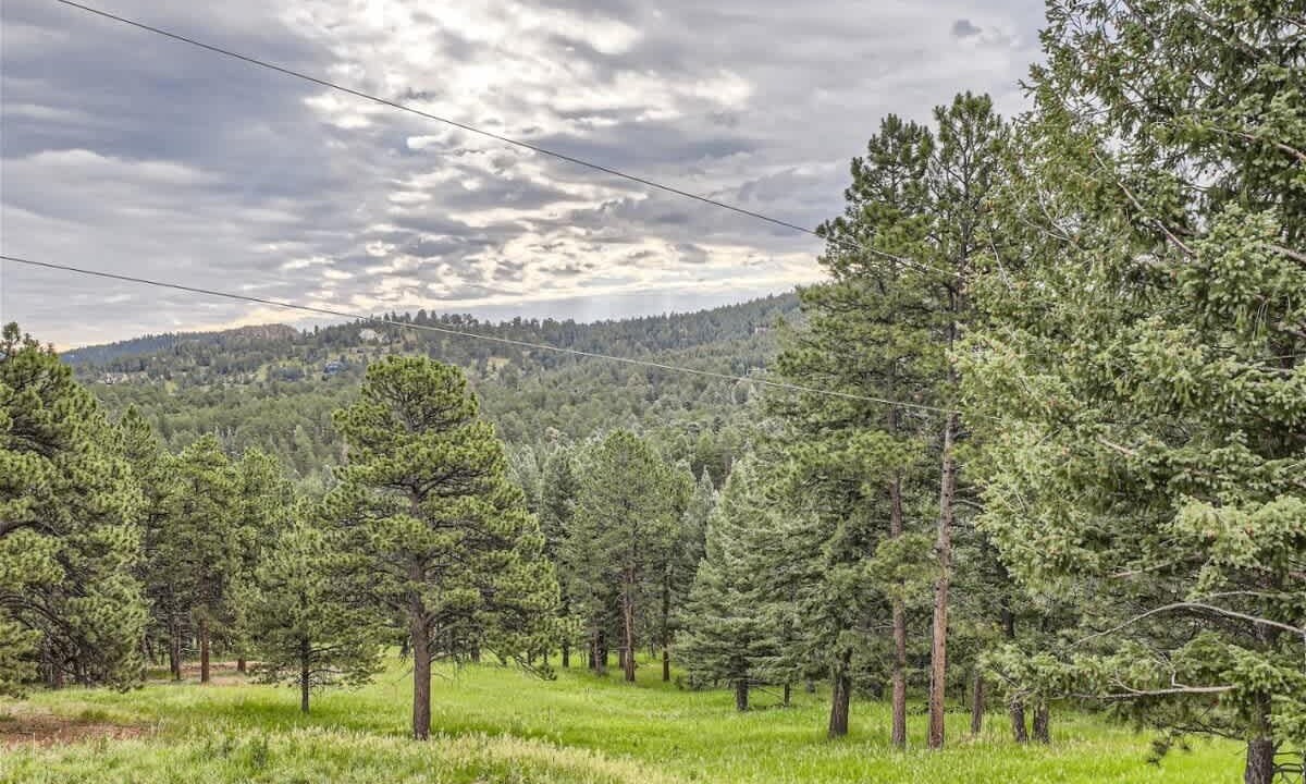 Photo of Others in Evergreen Meadows