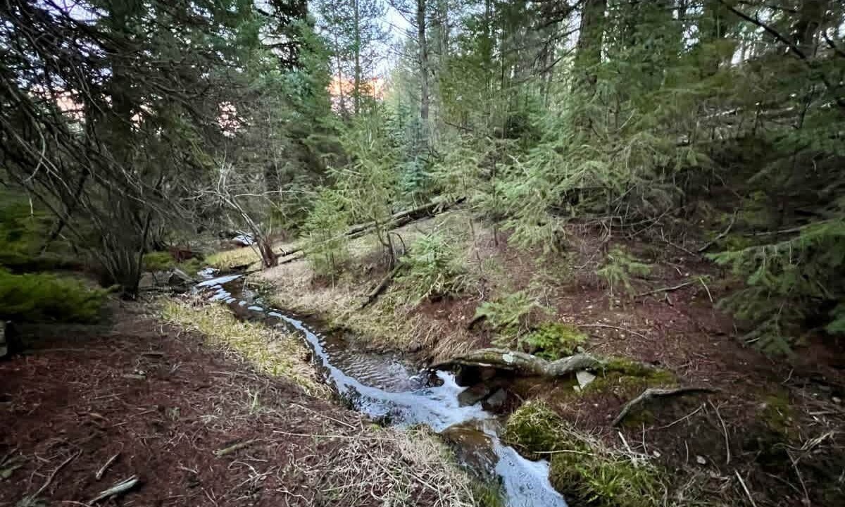 Photo of Others in Evergreen Meadows