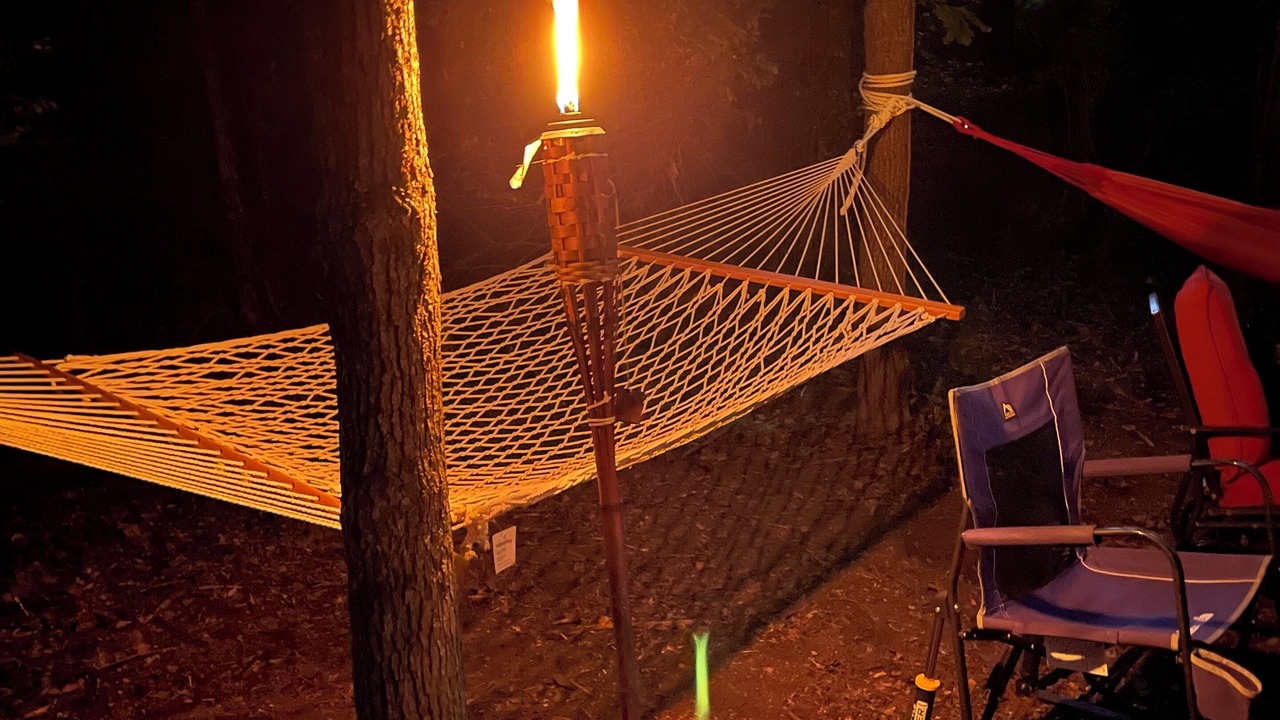 Photo of Outdoor in Niles