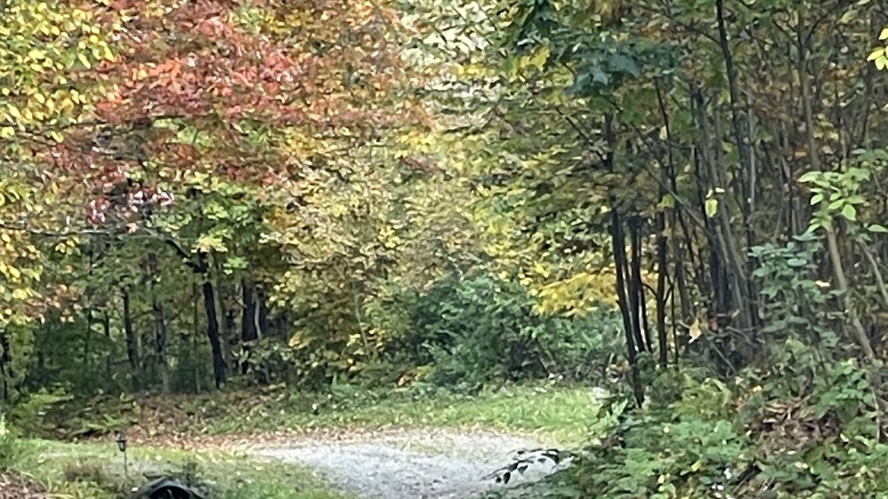 Photo of Others in Hamden