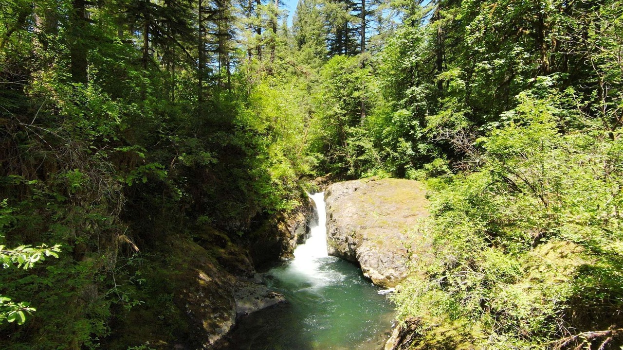 Photo of Others in Washougal