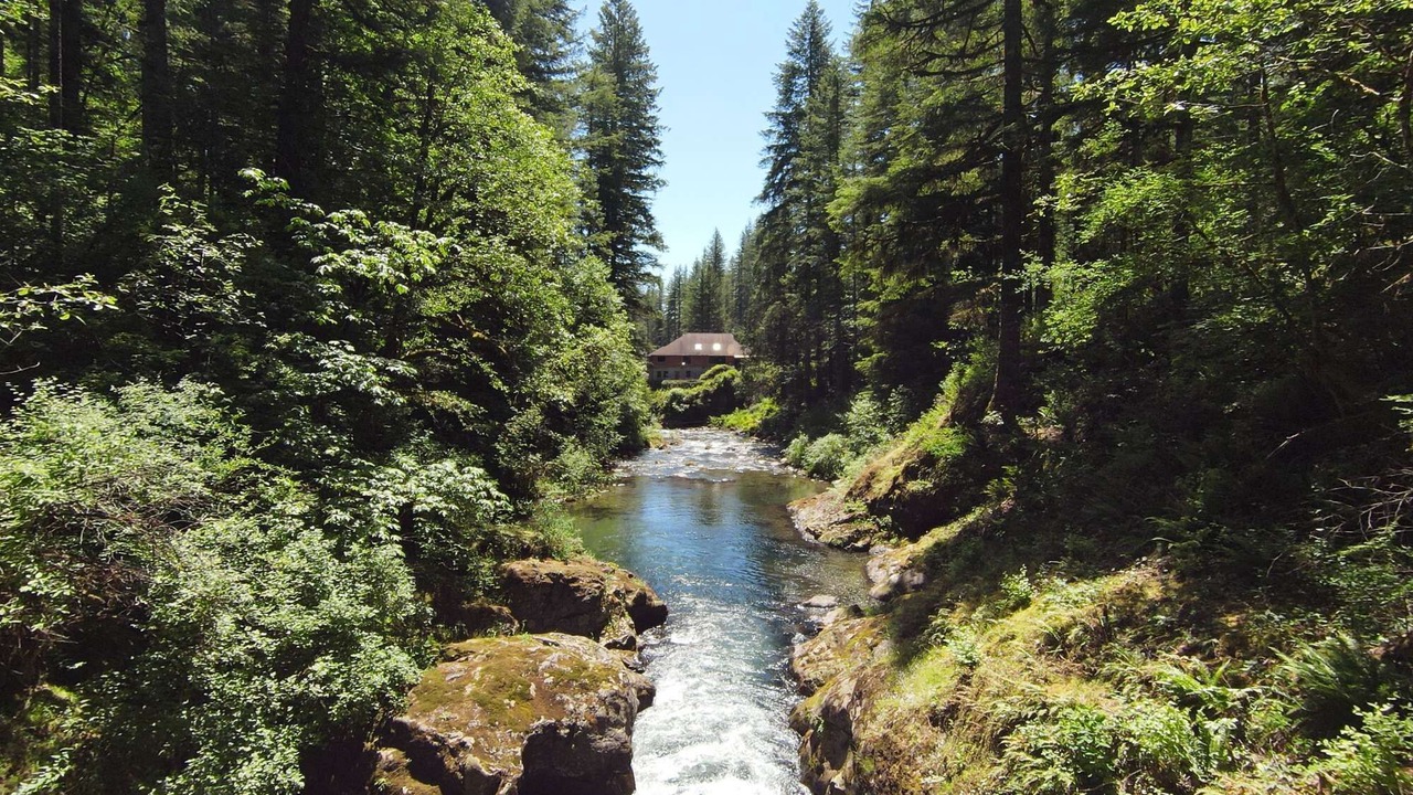 Photo of Others in Washougal