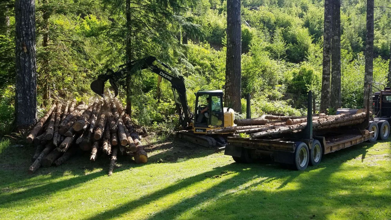 Photo of Others in Washougal