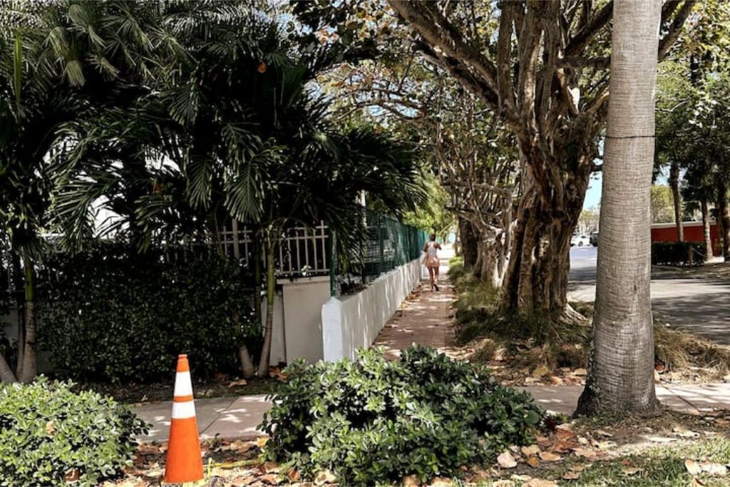 Photo of Outdoor in Key Biscayne