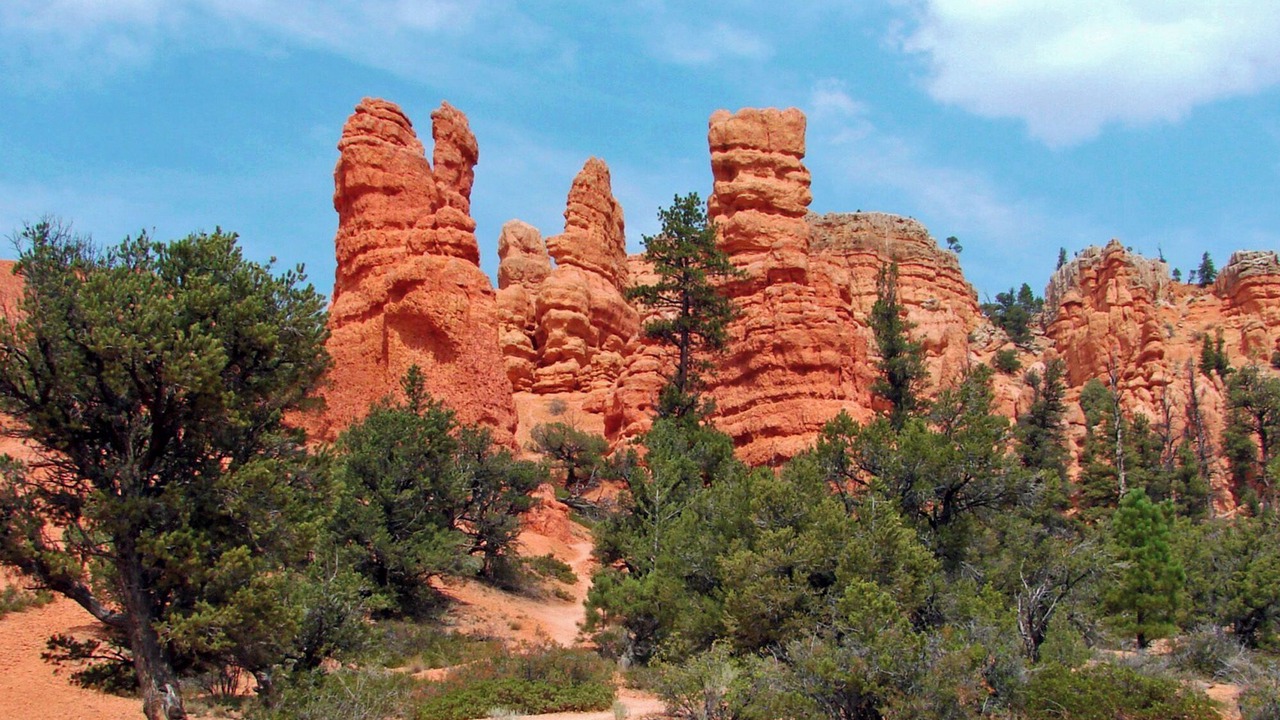 Photo of Others in Bryce Canyon