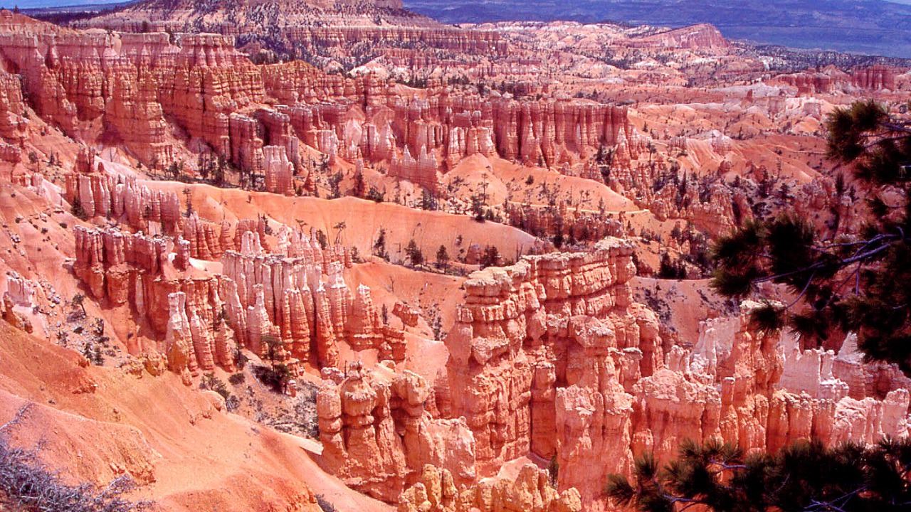 Photo of Others in Bryce Canyon