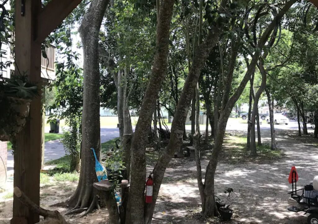 Photo of Others in Bacliff