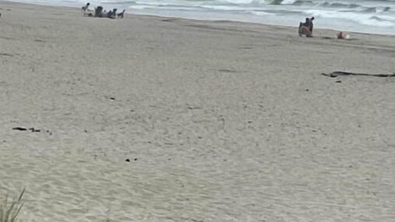Photo of Others in Rockaway Beach
