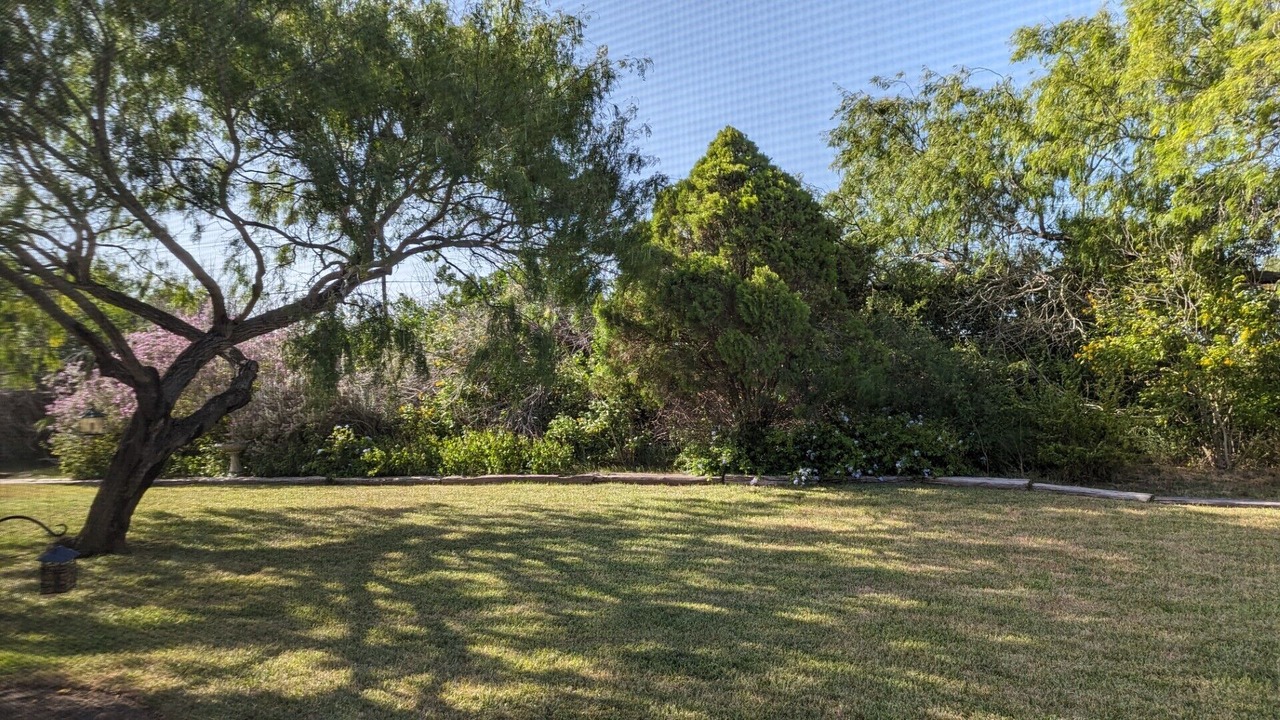 Photo of Outdoor in Laguna Vista
