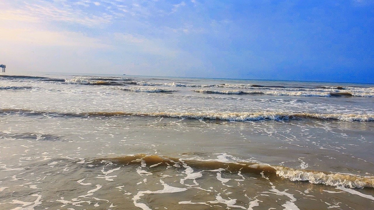 Photo of Others in Leeward Sands