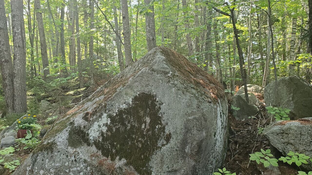 Photo of Others in Millinocket