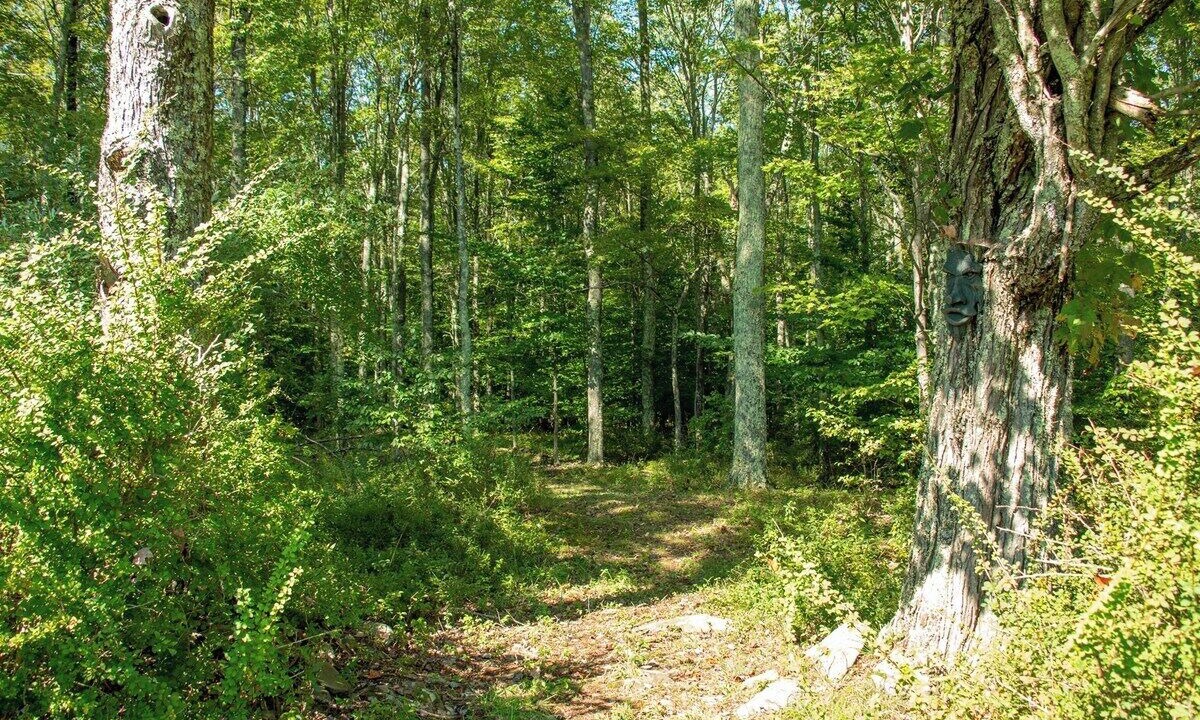 Photo of Outdoor in Beach Lake