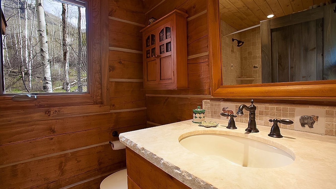 Photo of Bathroom in Carbondale