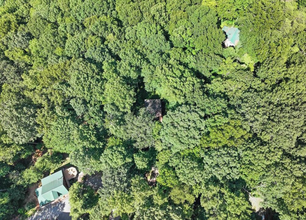 Photo of Others in Blue Ridge