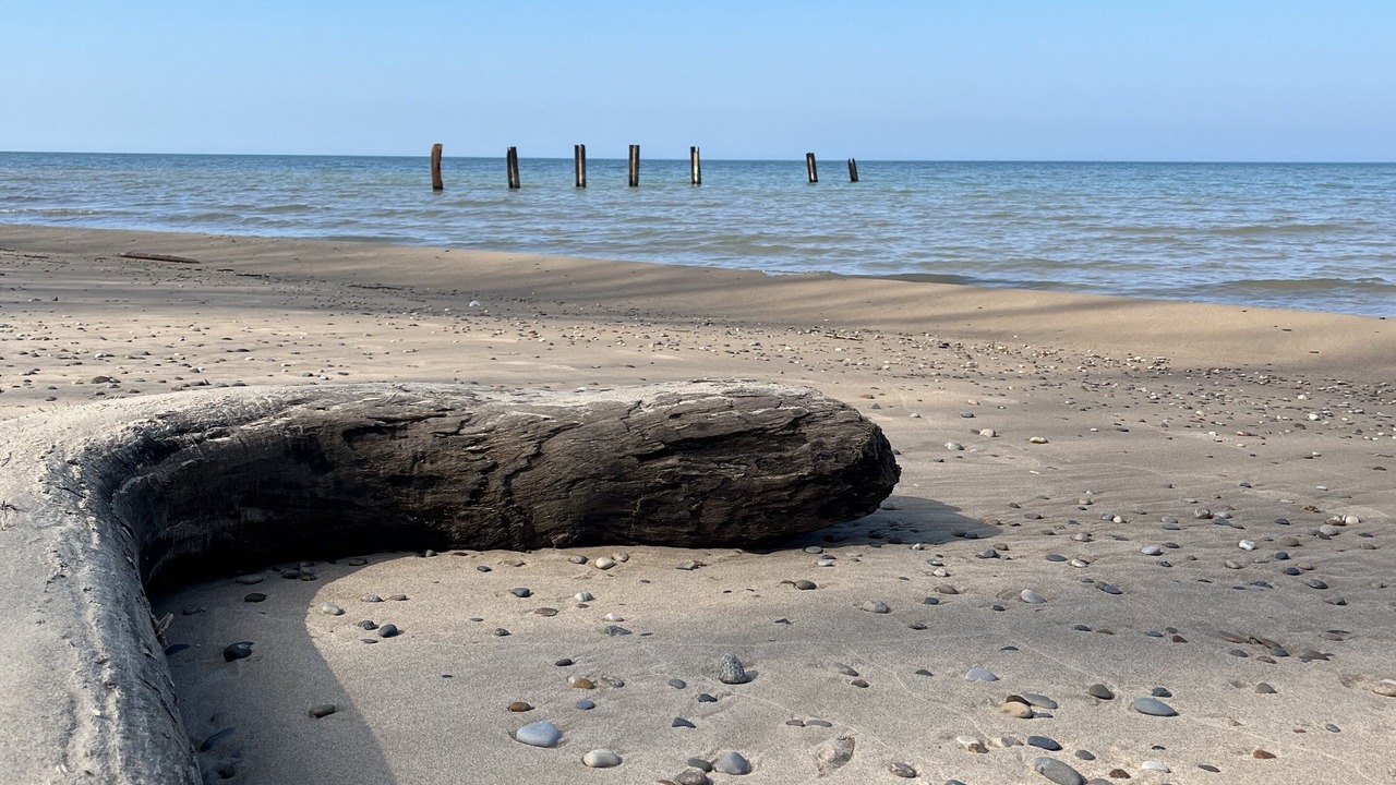 Photo of Others in Benton Harbor