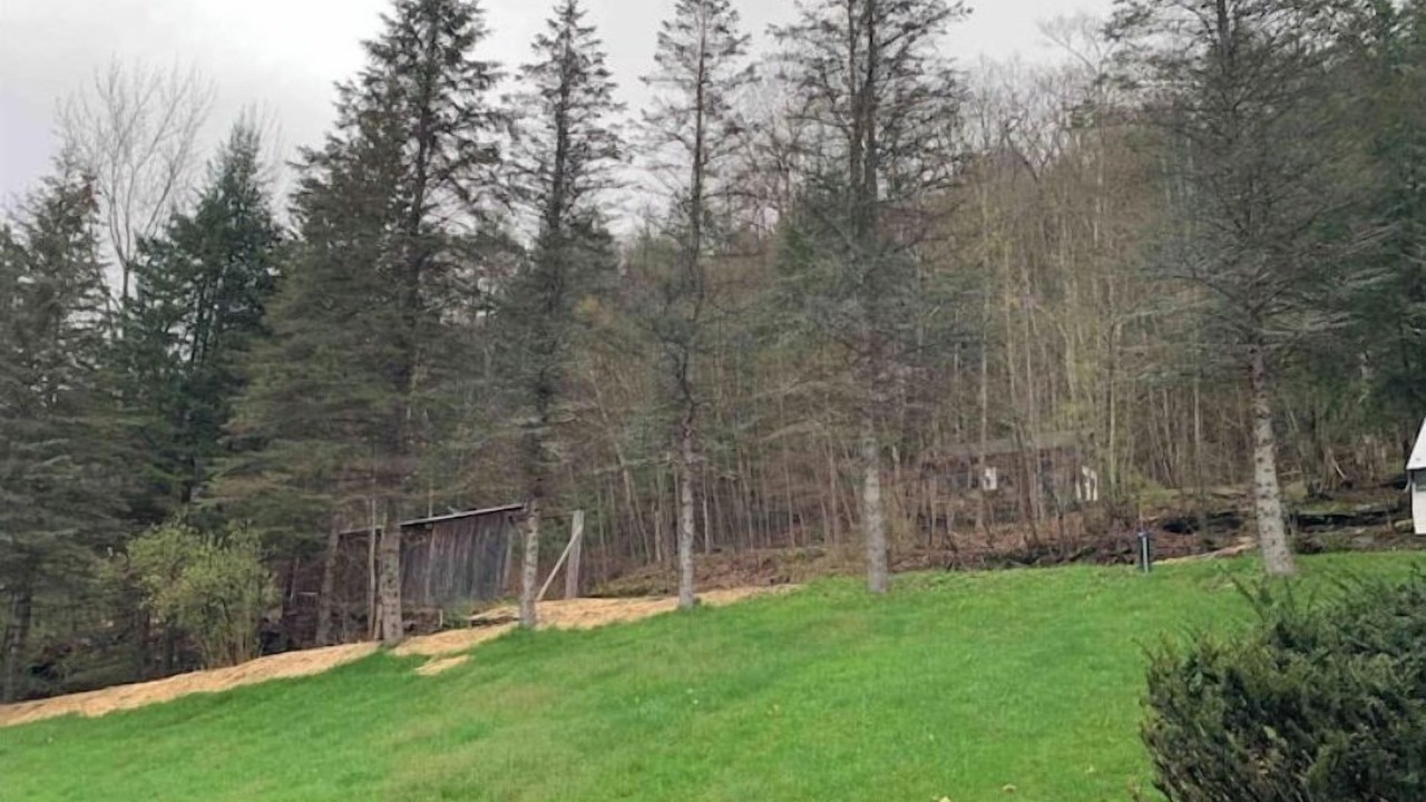 Photo of Outdoor in Margaretville