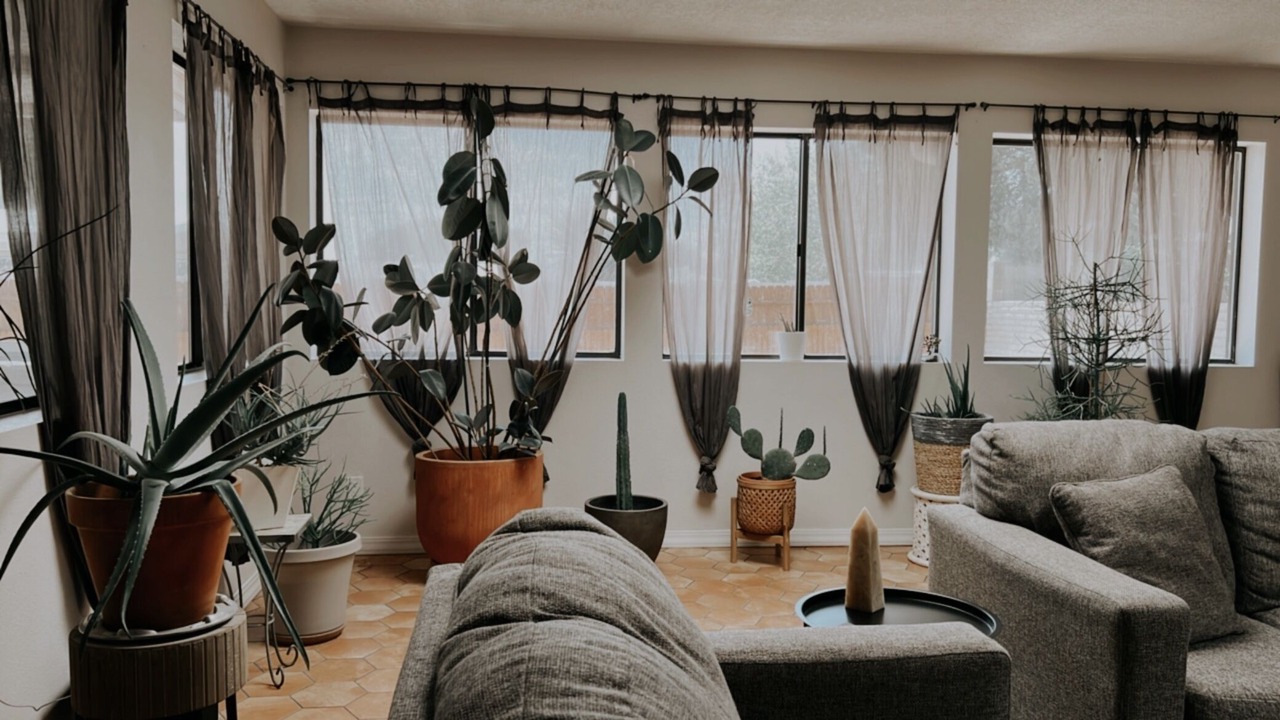 Photo of Livingroom in Rio Rancho
