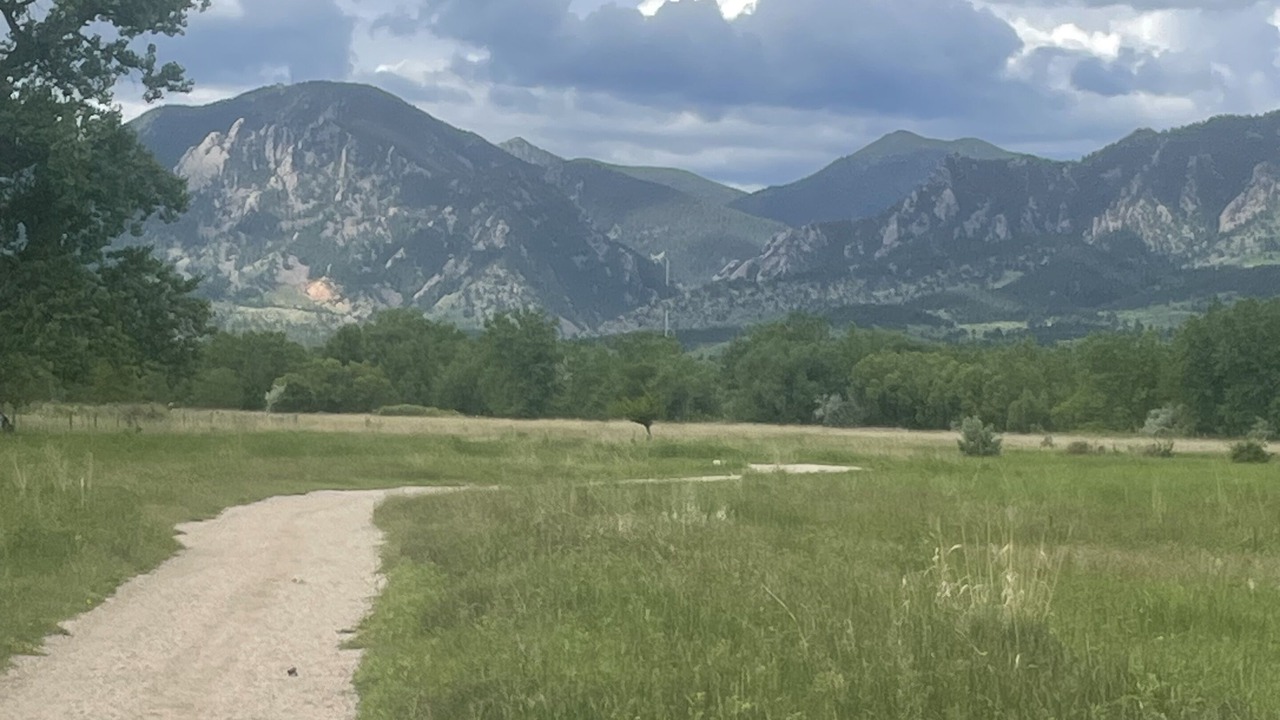 Photo of Outdoor in Martin Acres