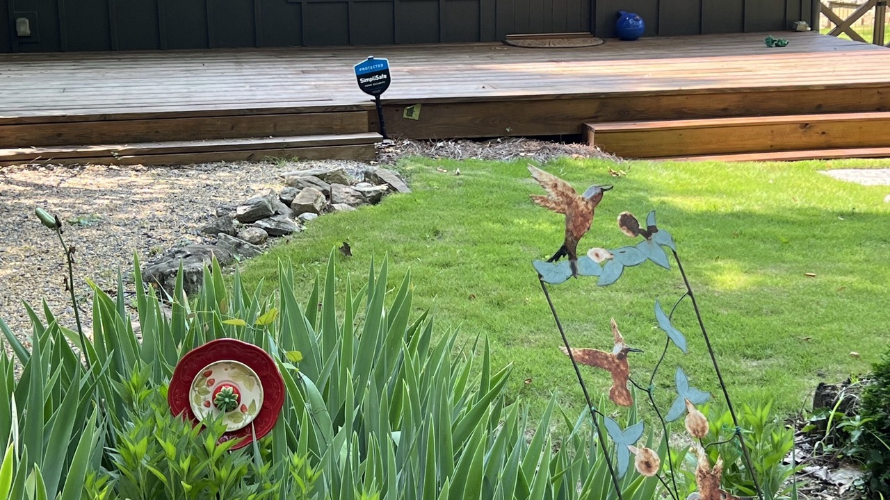 Photo of Outdoor in Mentone