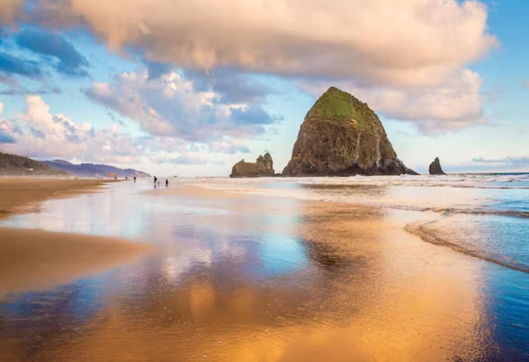 Photo of Others in Manzanita