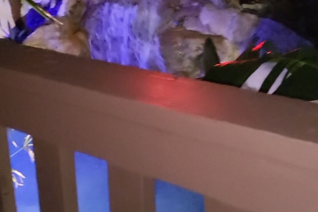 Photo of Outdoor in Fort Lauderdale